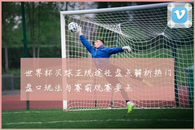 世界杯买球正规途径盘点解析热门盘口玩法与赛前观赛要点