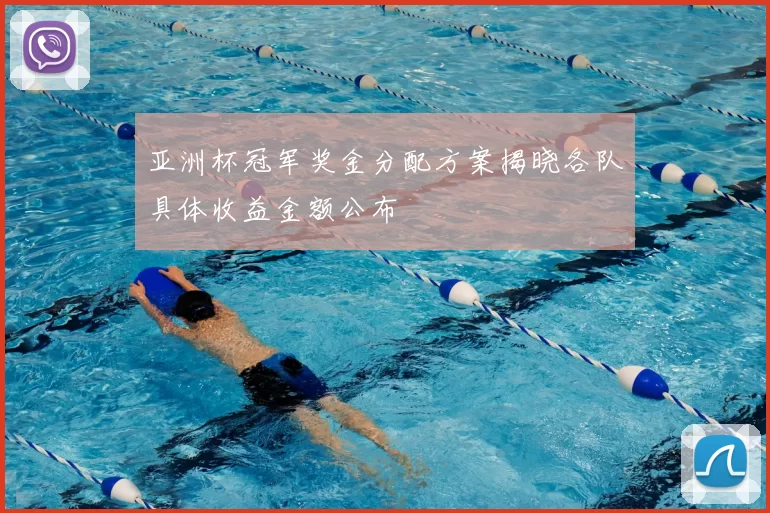 亚洲杯冠军奖金分配方案揭晓各队具体收益金额公布