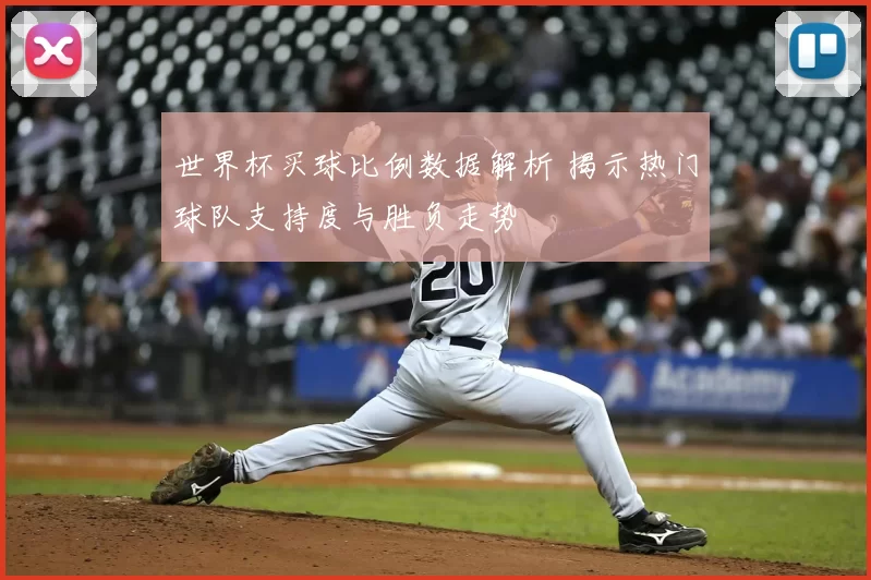 世界杯买球比例数据解析 揭示热门球队支持度与胜负走势