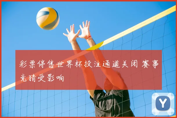 彩票停售世界杯投注通道关闭 赛事竞猜受影响